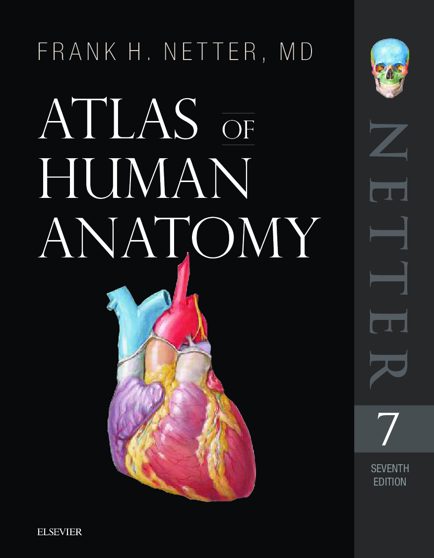 Atlas of Human Anatomy | Frank H. Netter | 2018