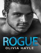 Rogue (Brothers of Paradise #1)