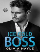 Ice Cold Boss (Brothers of Paradise #2)